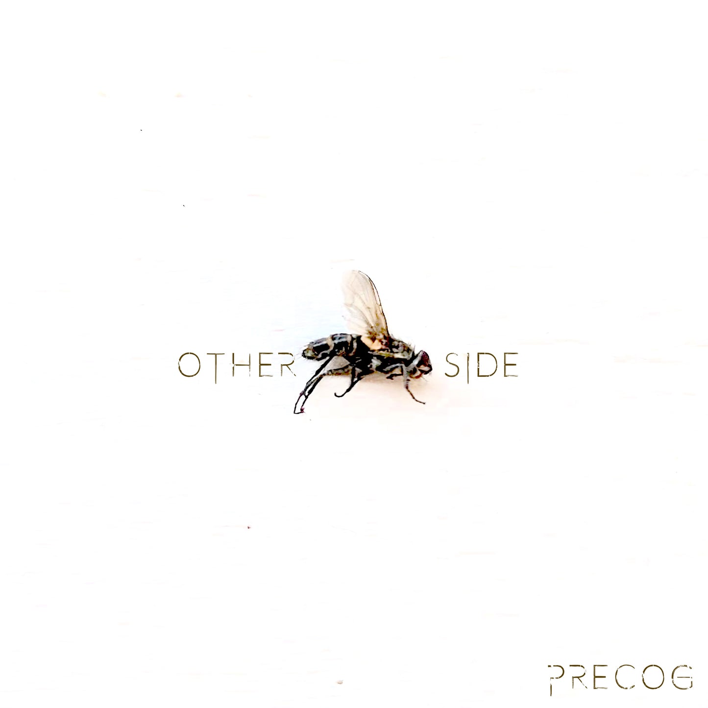 PreCog - Other Side (Digital)