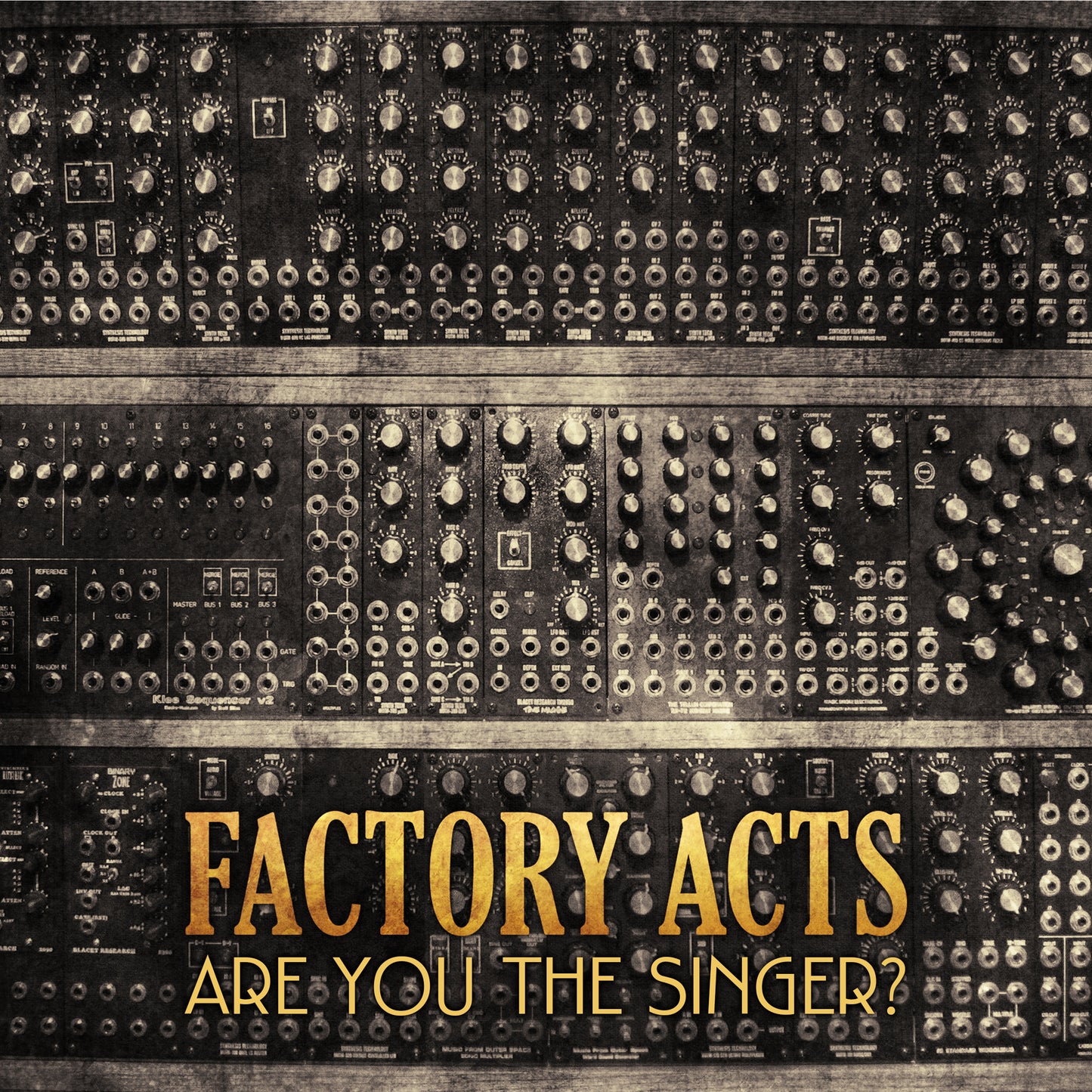 Factory Acts - Are You the Singer? (Digital)