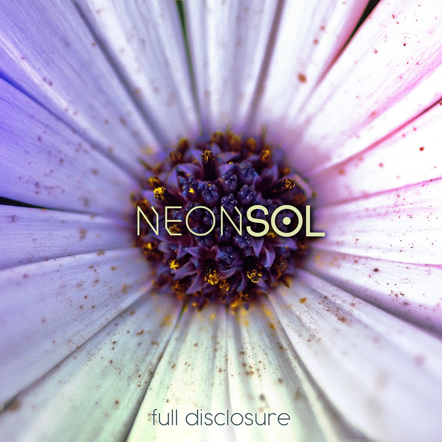 Neonsol - Full Disclosure (Digital)