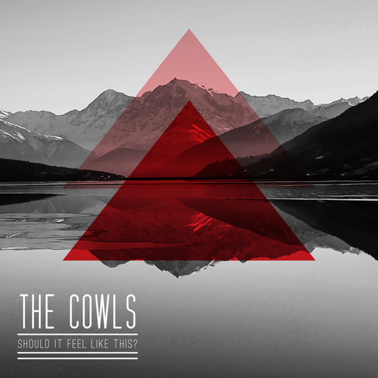 The Cowls - Should It Feel Like This? (Digital)