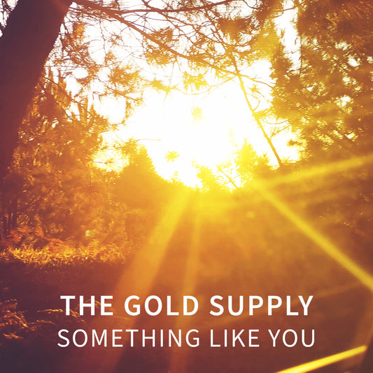 The Gold Supply - Something Like You (Digital)