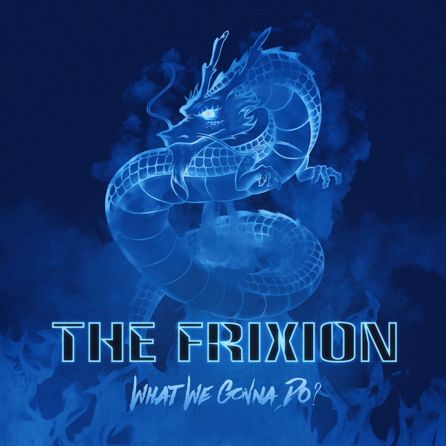 The Frixion - What We Gonna Do? (Digital)