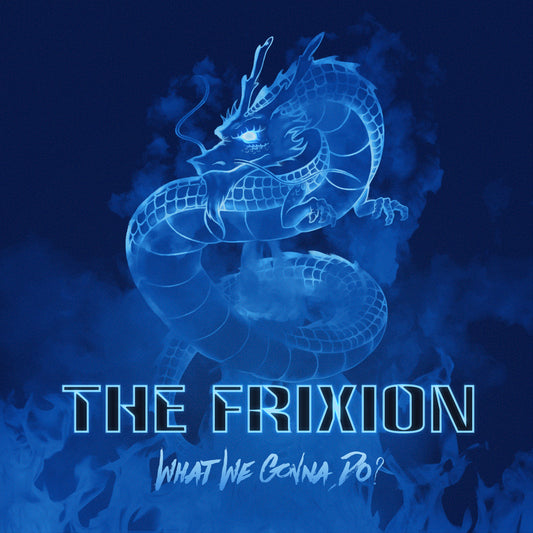 The Frixion - What We Gonna Do? (Digital)